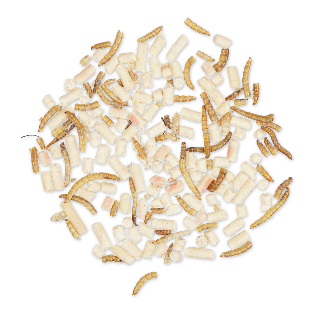 Proteinreicher Insekten-Mix 2,5 kg | Vogelfutter | CJ Wildlife